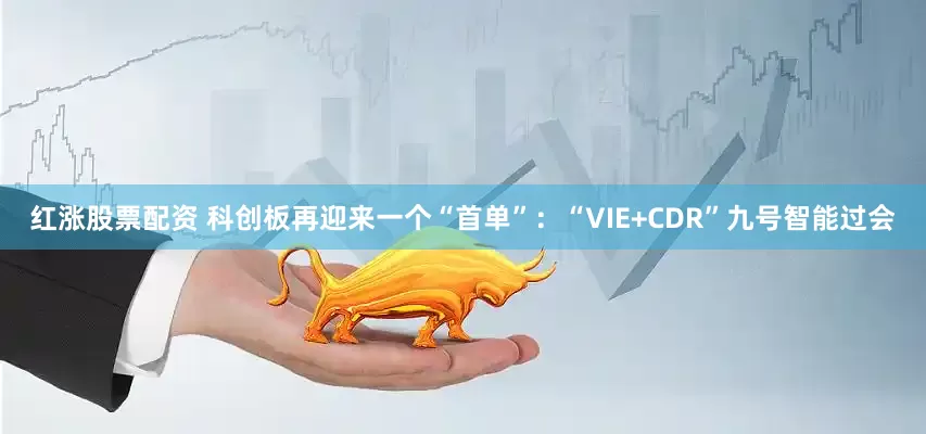 红涨股票配资 科创板再迎来一个“首单”：“VIE+CDR”九号智能过会