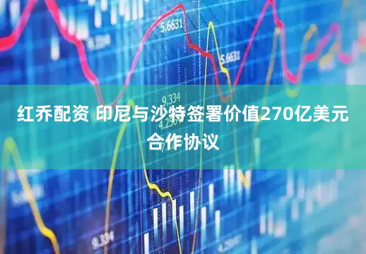 红乔配资 印尼与沙特签署价值270亿美元合作协议