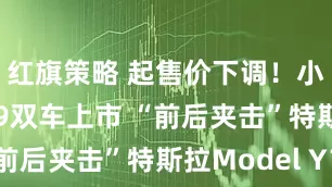 红旗策略 起售价下调!小鹏G6、G9双车上市 “前后夹击”特斯拉Model Y?